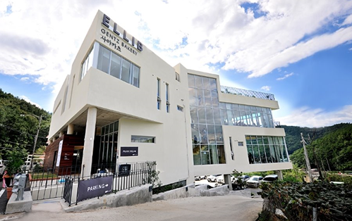 사야스시앤카츠