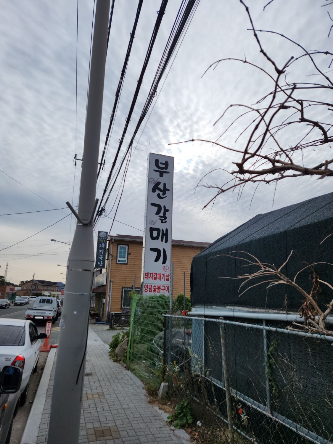 부산갈매기