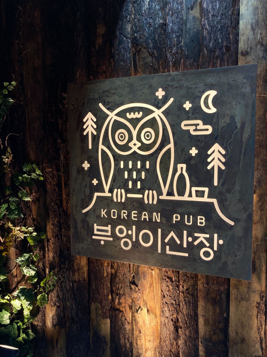 부엉이산장 신촌점