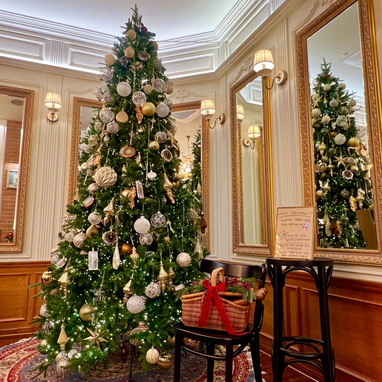 라테라스드파리