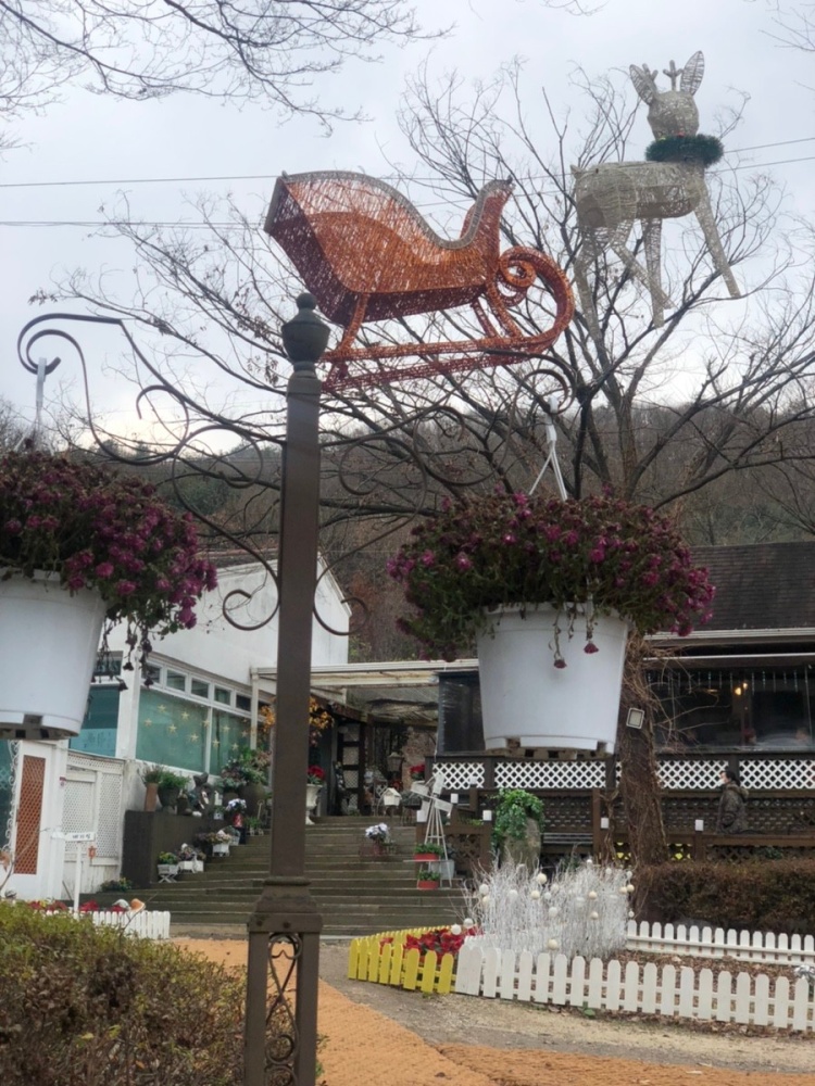 강마을다람쥐 광주 본점