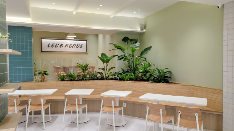 레오앤아그너스 샐러드