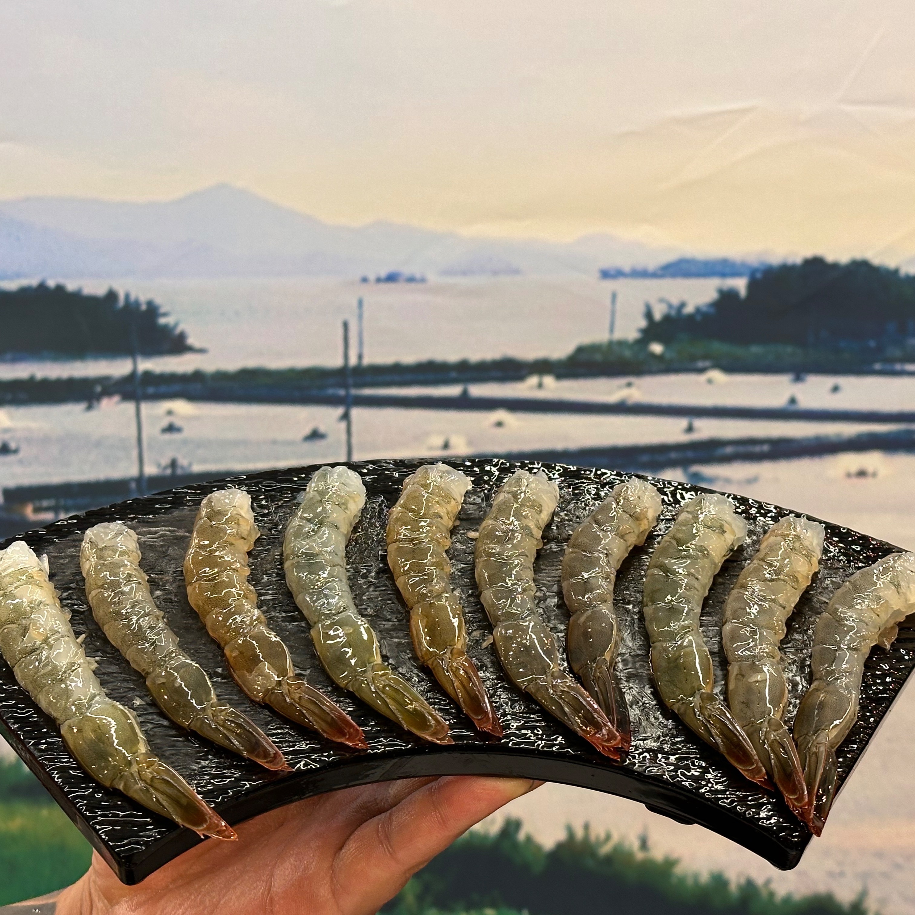 생새우회