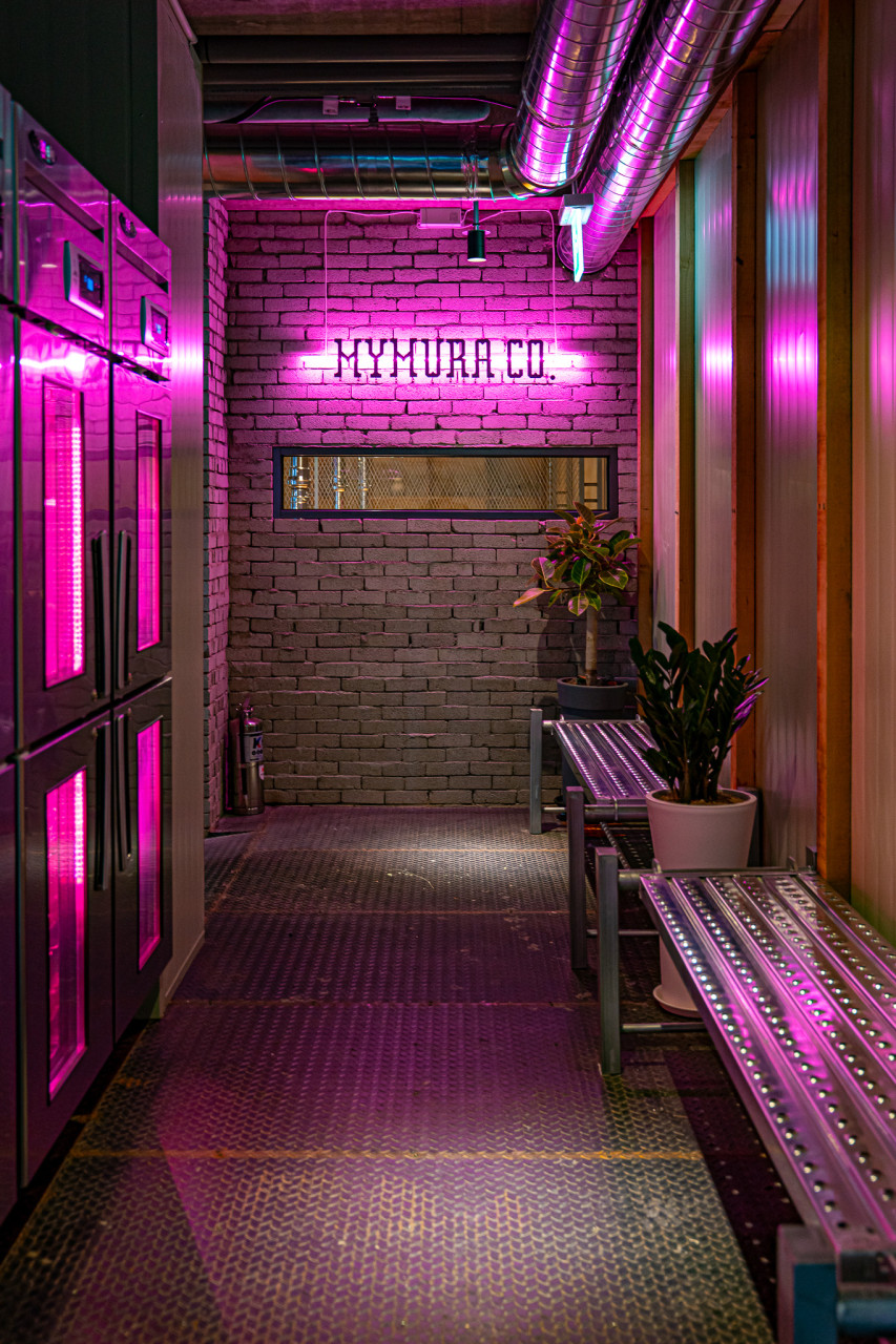 고단수 창원용호점