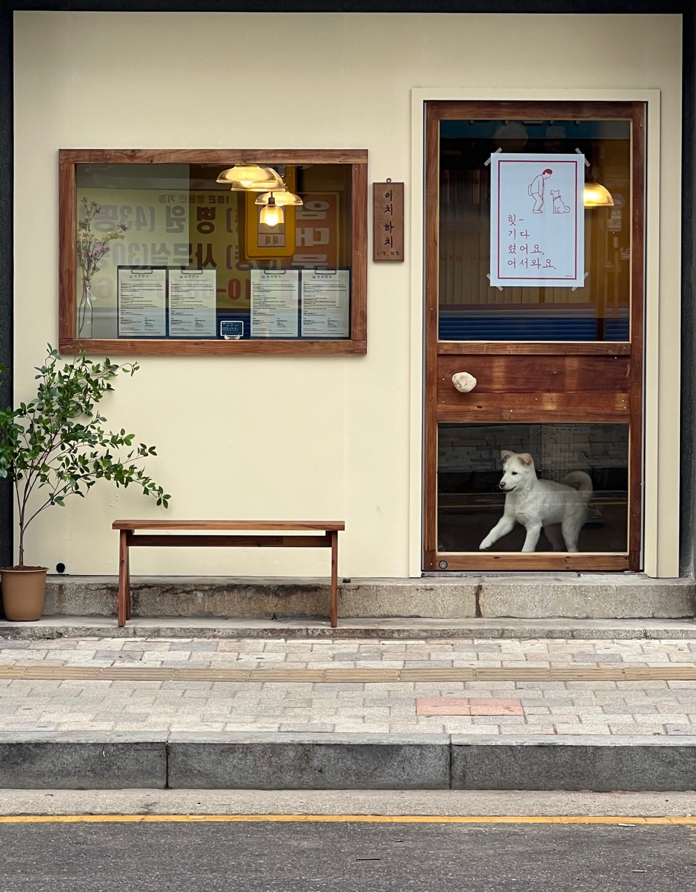 이치하치 수원역점