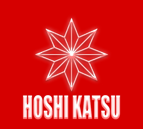 호시카츠 서울역점 오더